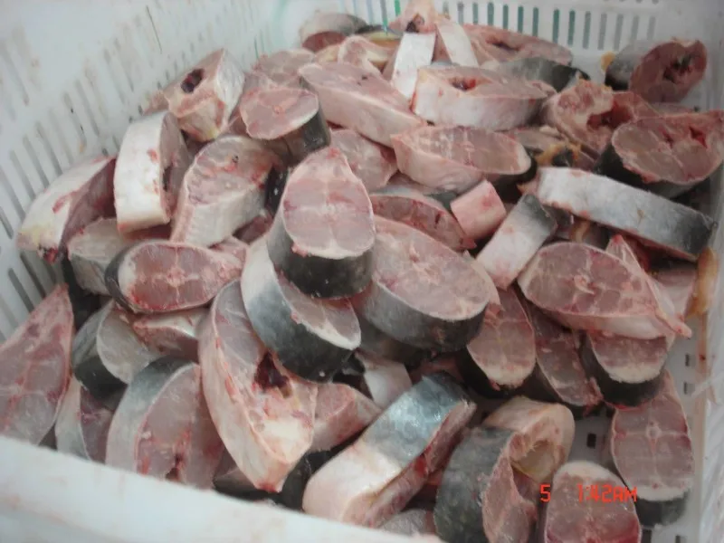 
Vietnam Supplier Freshly frozen basa fish steak/ Pangasius steak/Pangasius chunk 