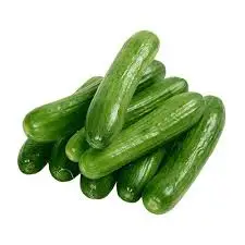 
Vegetables Green Fresh Cucumber for Sale Best Price Style Small Weight Origin 