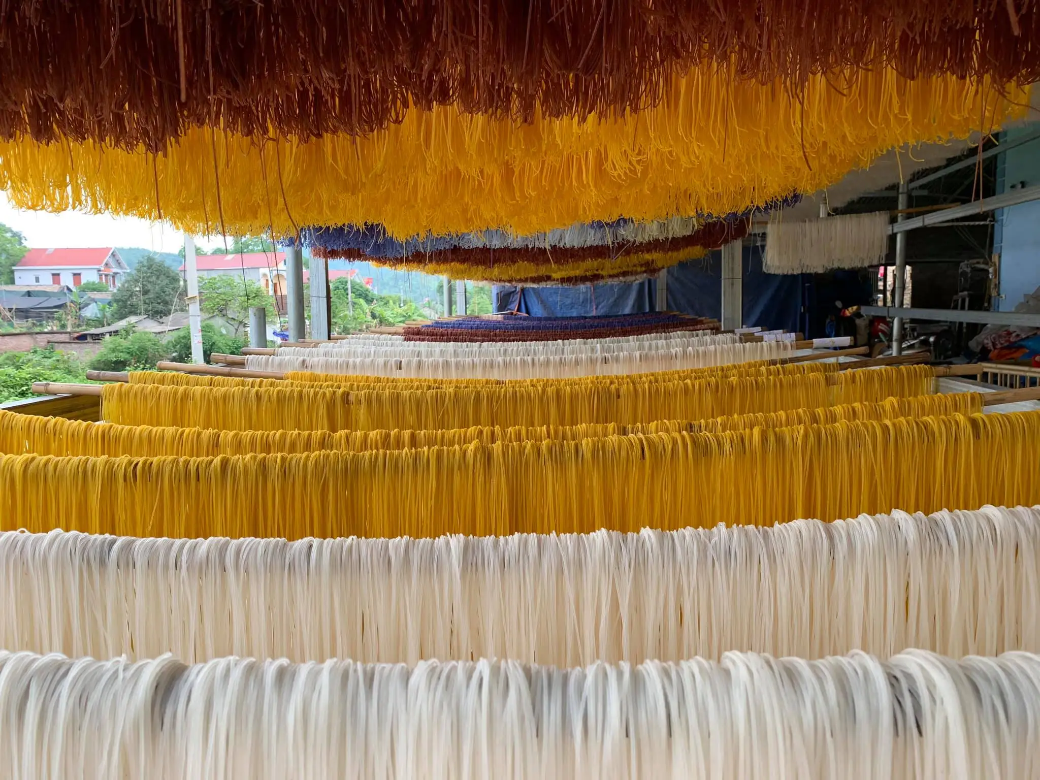 Dried Rice Noodles Rice Sticks for Export/ Vietnam Natural Pho/ Rice Vermicelli with 100% Natural Color Ms.Lucy +84 929 397 651