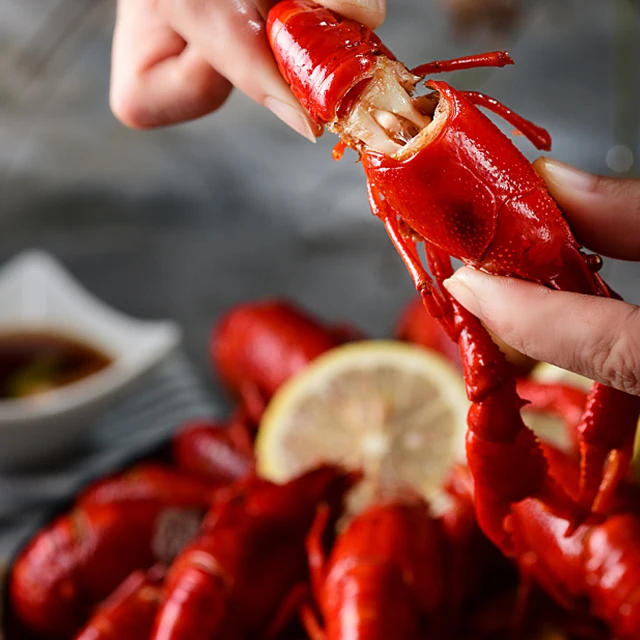  2021 Sales Frozen De-veined Lobster Tails Sizes 3/4oz up to 8/10oz Fresh Live Caribbean Spiny Brazilian Slipper