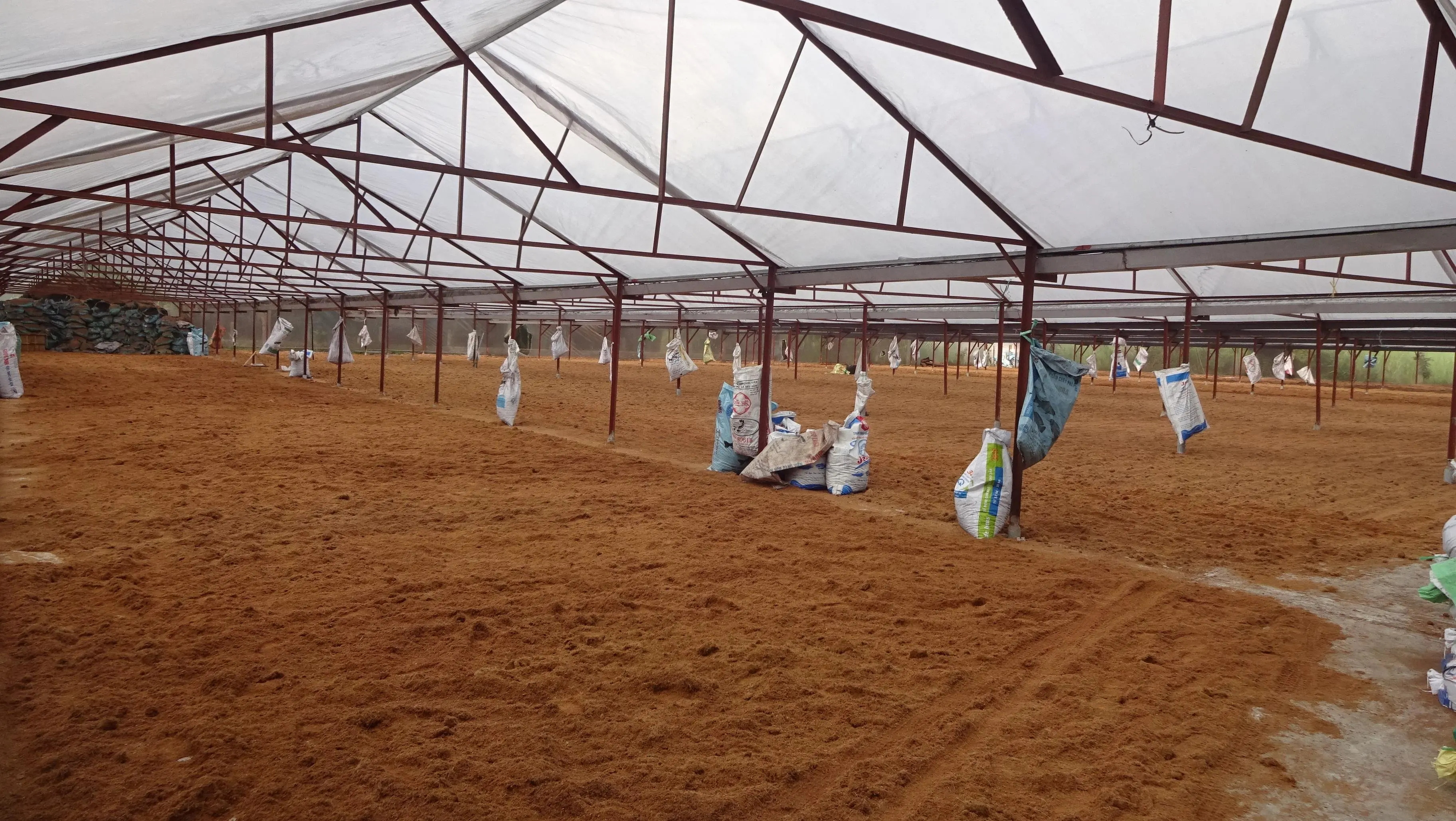 Мытый кокопит с низким уровнем EC 5 кг для выращивания растений