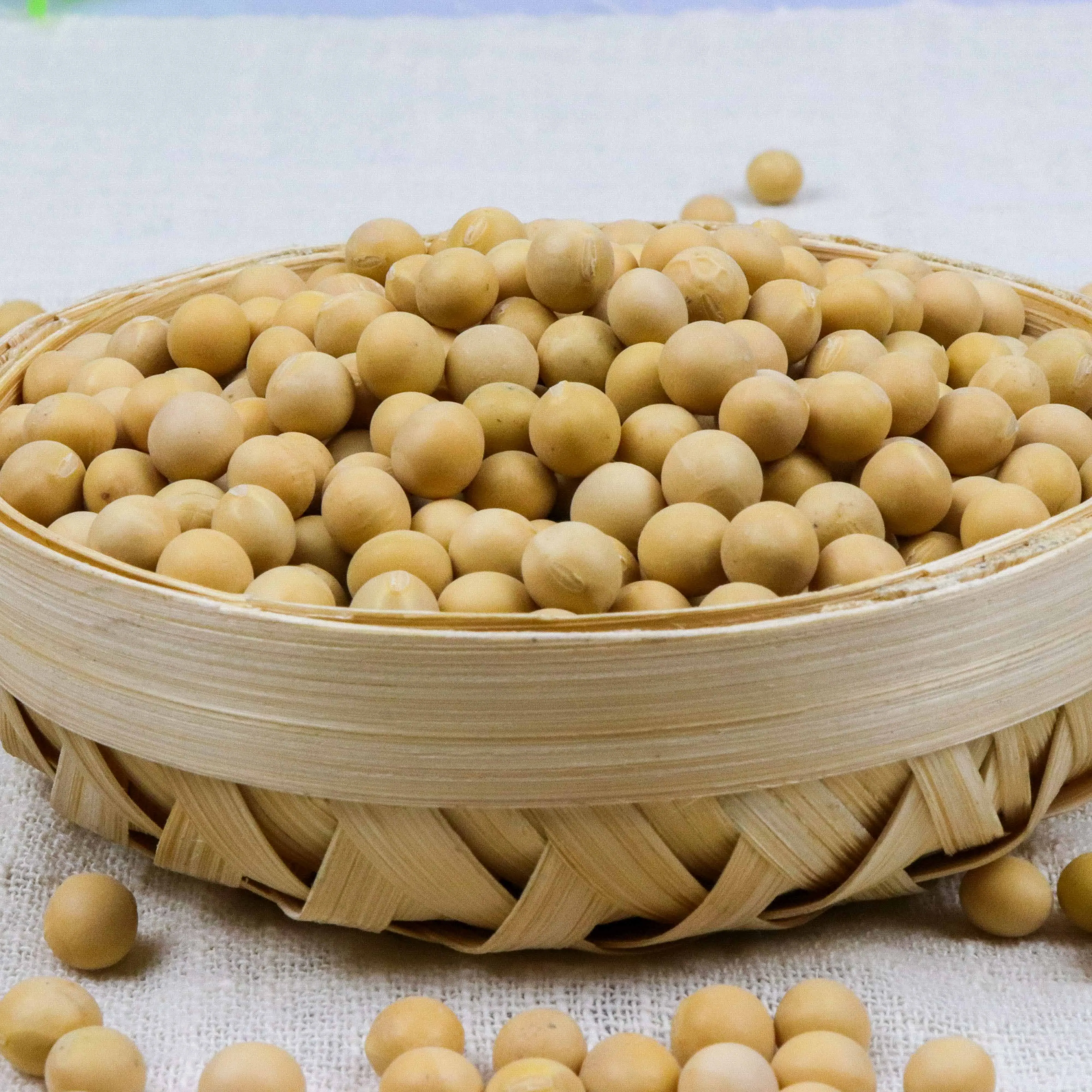 
Newest Crop Yellow Soybean Organic Soybean Non Gmo Soybean ECOCERT Certified Nongmo Soya bean 
