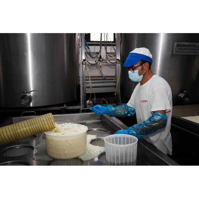 High Quality Made in Italy Terre di Munnura semi-hard Cheese with cow milk 2kg vacuum pack Ready for export