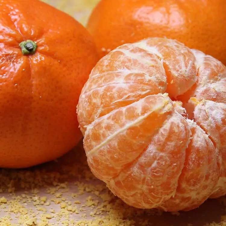 PREMIUM QUALITY NATURAL CLEMENTINE FREMONT SATSUMA PRIMASOL NOVA SWEET FRESH TANGERINE MANDARIN EXPORT FROM TURKEY