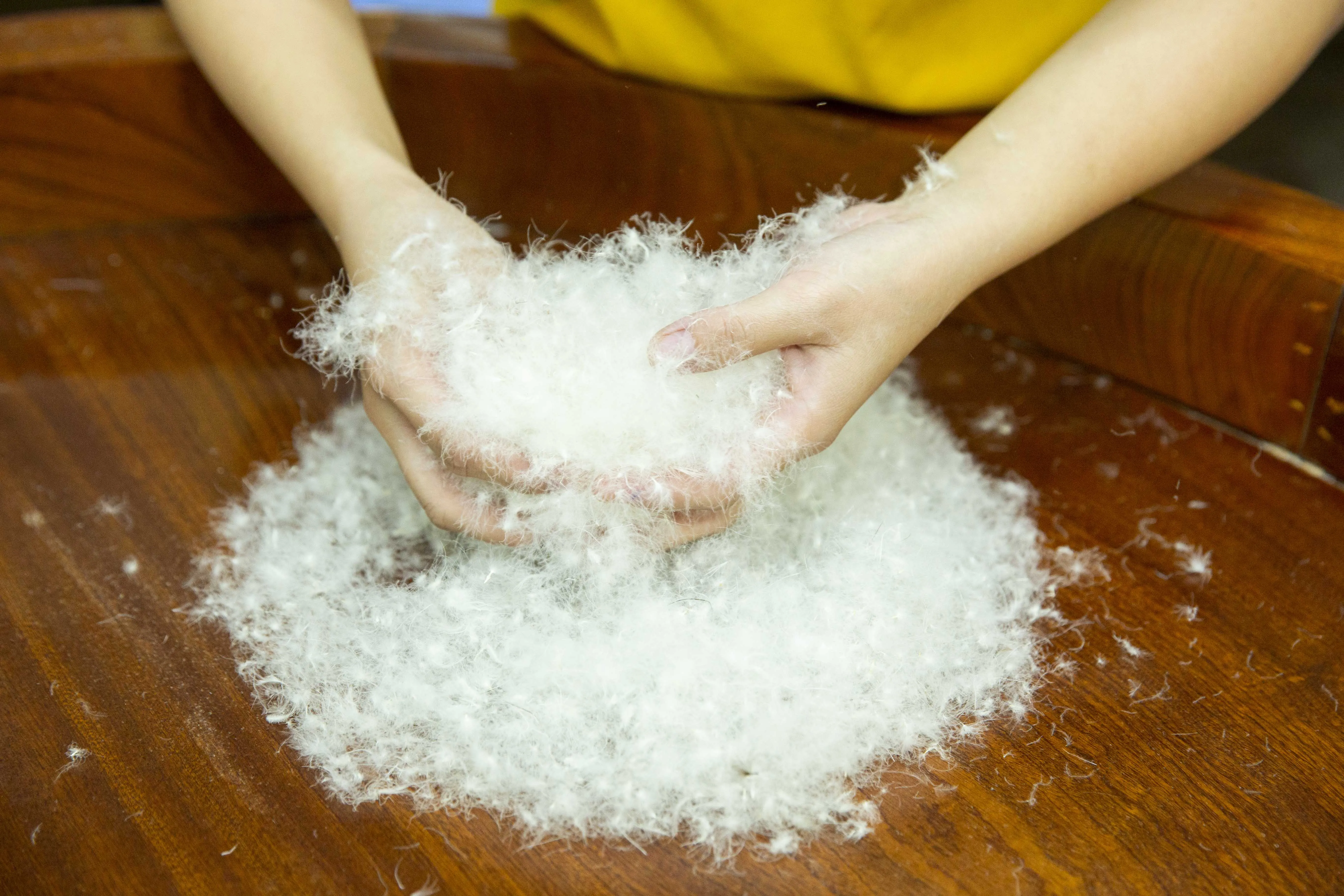 
Washed White Duck Down 90/10, Fill Power 700 From Vietnam 