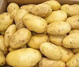 100% Organic Fresh Sweet Potatoes Vegetable Fresh Frozen Potato For Export