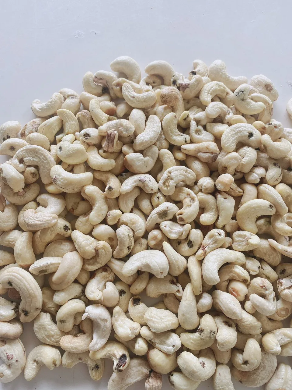 Hot Selling best price Raw  Cashew Nuts W180 W240 W320 W450 WW320 Dried Cashew from Vietnam