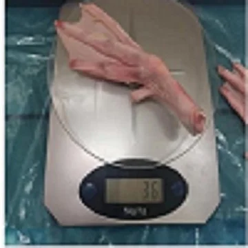 Halal Frozen Duck Feet