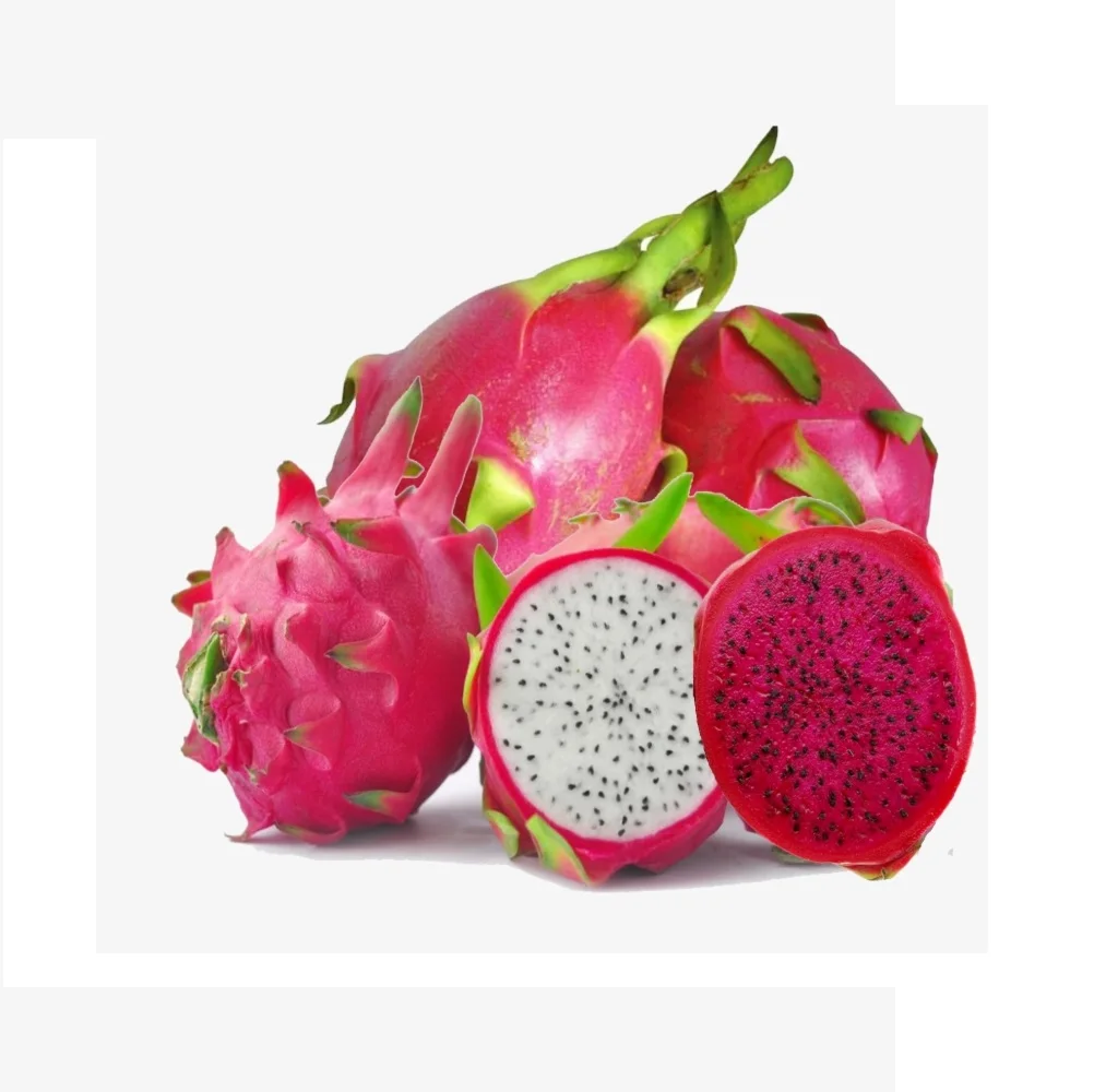 Вьетнамский Свежий фрукт дракона отличный выбор для импортера WHATSAPP WECHAT VIBER