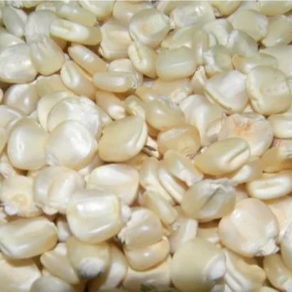 DRY WHITE CORN