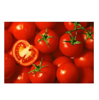 
Best Factory Price Of Fresh Red Tomatoes Available In Bulk Stock With Customize Packing 