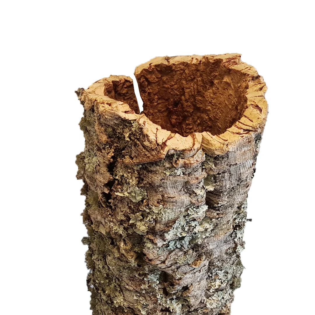 Virgin Cork Bark Tubes for Decoration and Terrariums