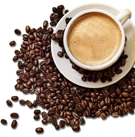 Mokambo Fairtrade Coffe Beans 1 KG - Made in Italy