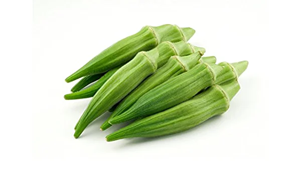 High quality fresh Organic Ladies finger fresh vegetables from India at factory price