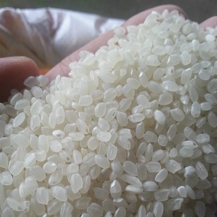 Viet Nam Japonica/ Sushi Rice Japonica Rice 100% Natural (5% Broken) with High Standard