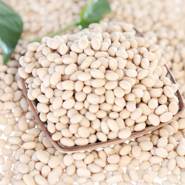  Best Quality Beans-Large white lima