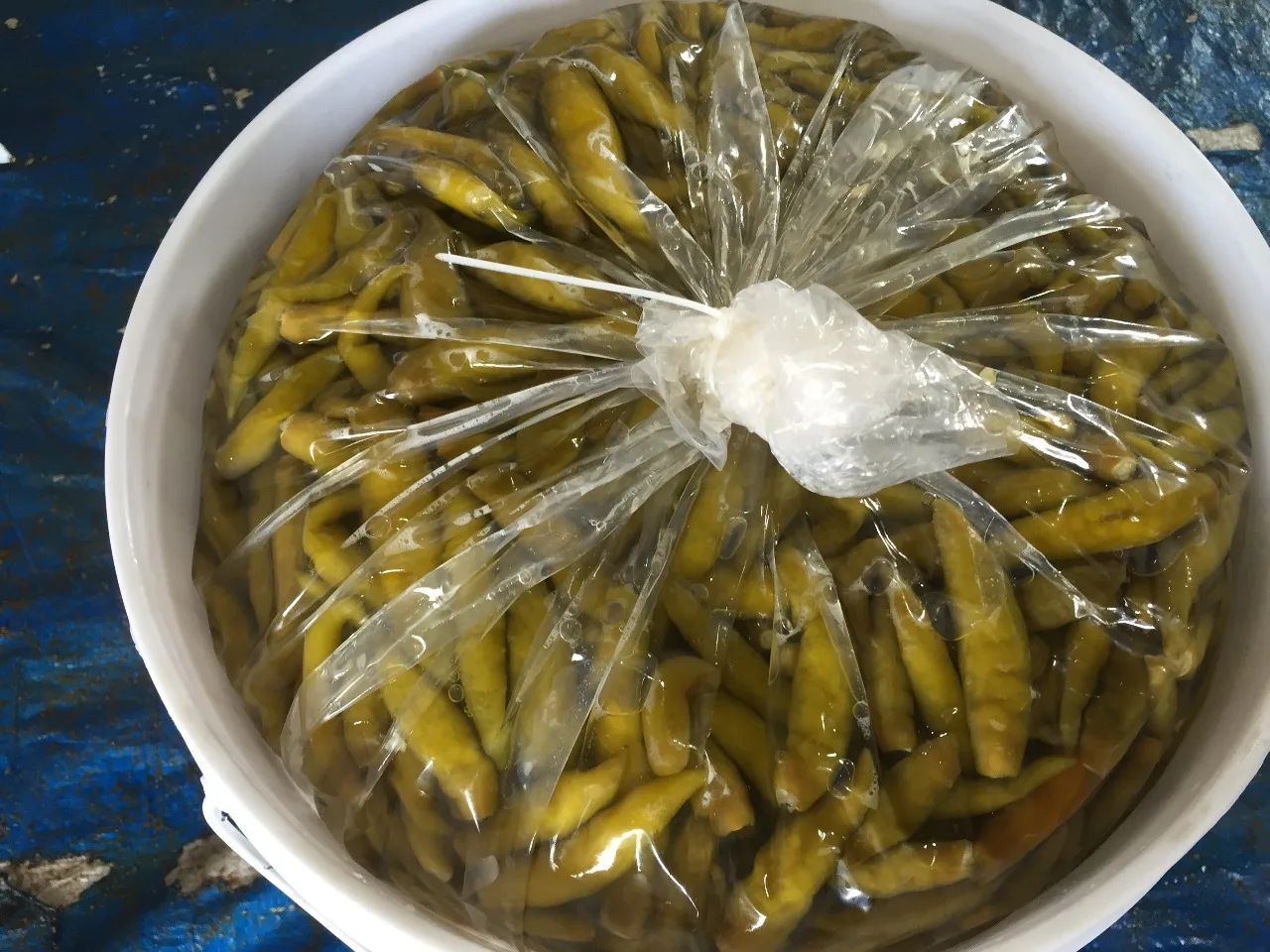 Высококачественные корншоны Перкинс упакованные в ведро надлежащим образом для продуктов питания изготовленных Индии по заводской