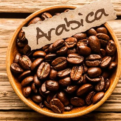 Best Price Coffee Beans Arabica Raw Coffee Beans Directly from Vietnam Specialty The Farm High Standard