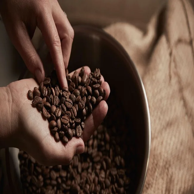 Зеленые кофейные зерна ROBUSTA SCR #18 для продажи
