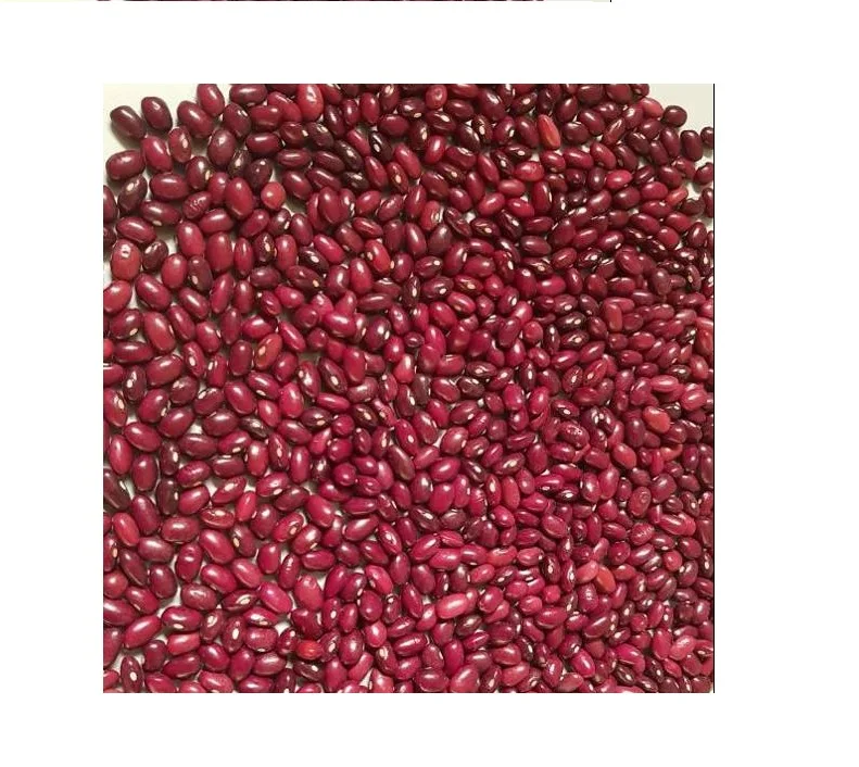 Red Kidney Beans