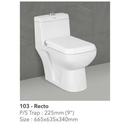 Sonata White Ceramic One Piece Toilet Water Closet