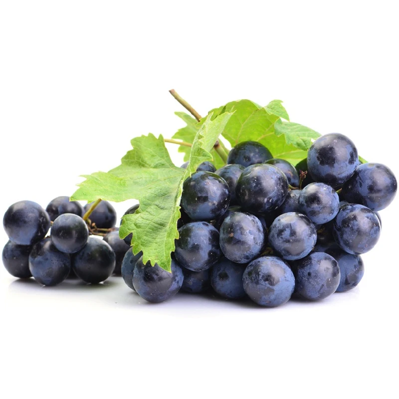 
Sweet Black Grapes High Quality Fresh Natural Seedless Grape COMMON Cultivation 2.0-2.8 Cm from AU 