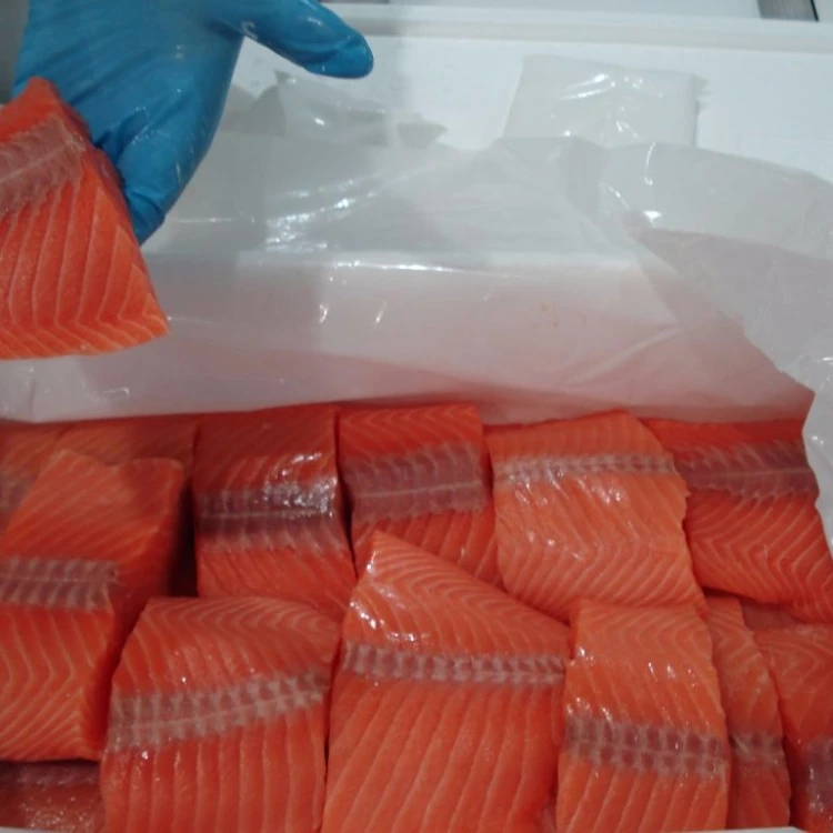 Wholesale High Quality Seafood Supplier Atlantic Salmon Heads For Sale In Cheap Price