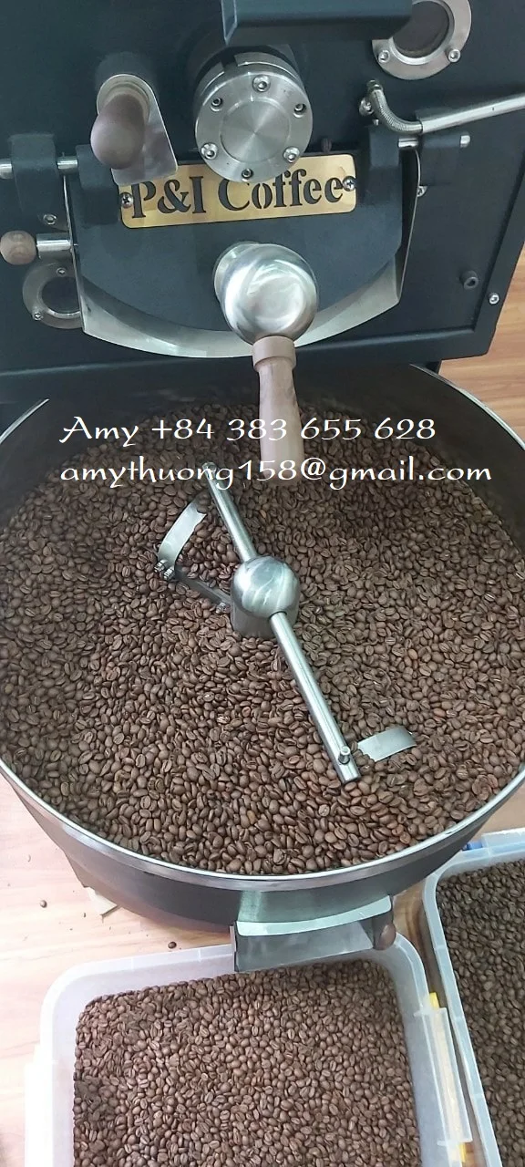 High quality roasted coffee beans mixing Arabica and Robusta coffee/ Blended coffee