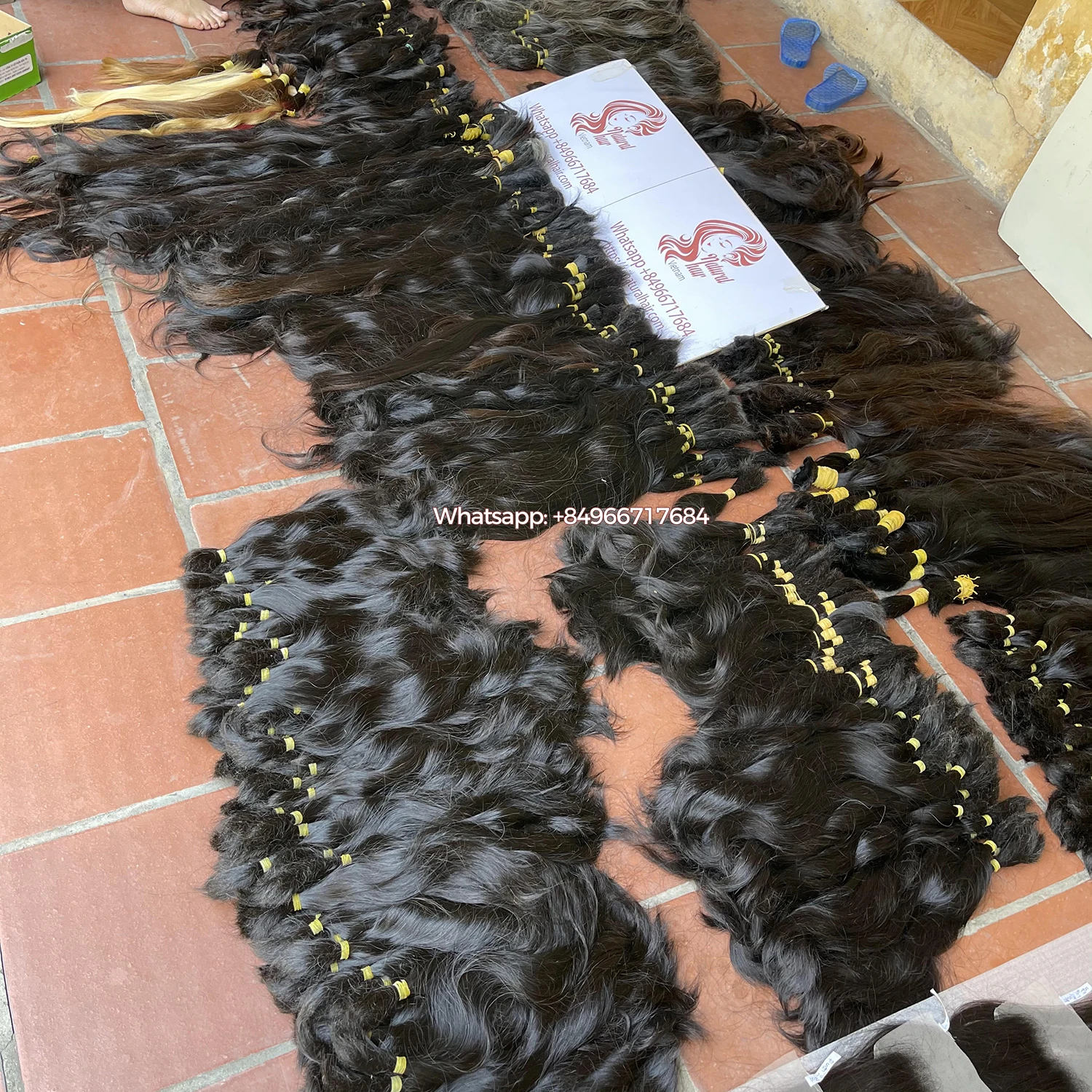 Лучшее качество волосы одного донора навалочные вьетнамские волосы/наращивание человеческих волос/выровненные с кутикулой