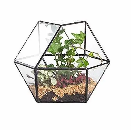 Elegant Design For Home Decoration Cage Bonsai Terrarium For Succulent Plant Handicraft Supplier From India