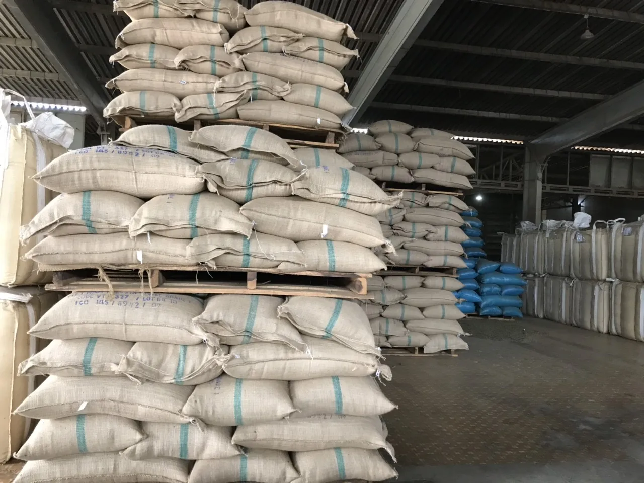 Arabica coffee bean | Vietnam | Whatsapp: +84865381935