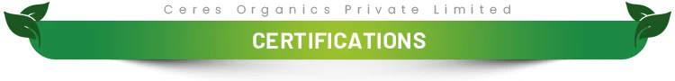 Certifications-t.jpg