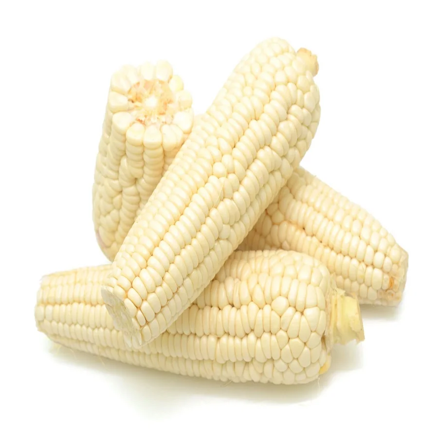 
Top Selling Non GMO White Maize/Corn Cheap Price 