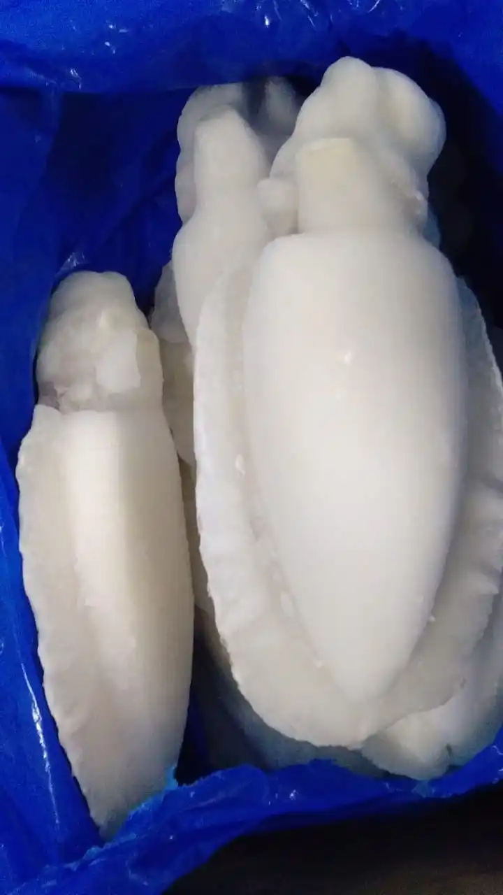  TOP QUALITY FROZEN CUTTLEFISH WHOLE CLEANED IQF FROM