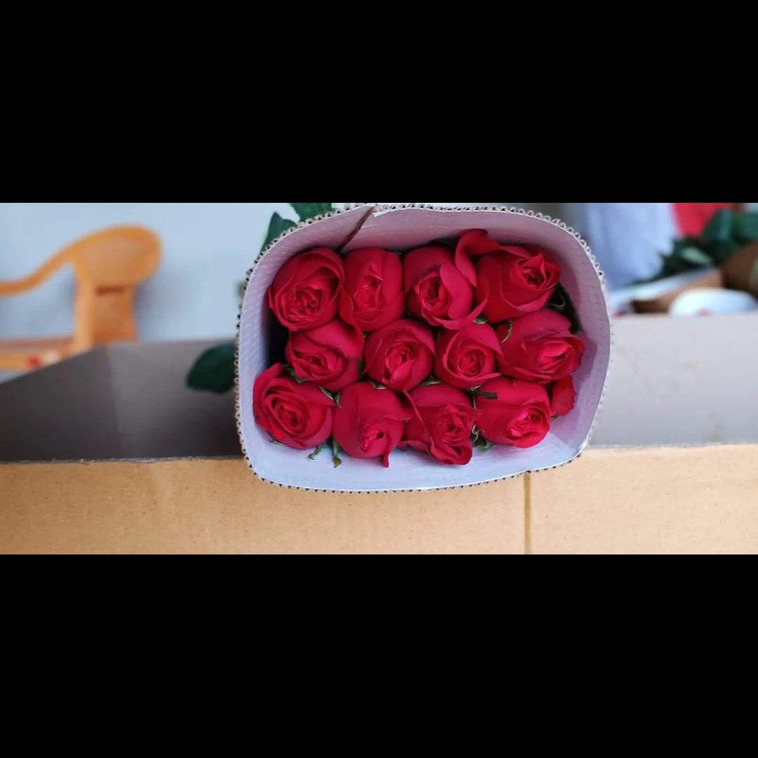 Wholesale Hotshot Roses Exported From India