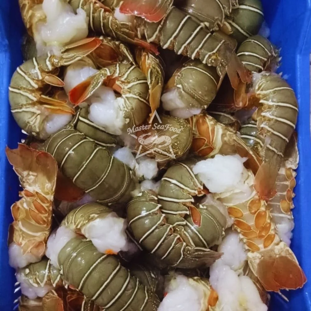 Lobster Tail Frozen Best Quality Master Seafood Product Country of Origin Bangladesh 2 Ounce to 12 Ounce Packing 10 KG per MC