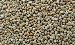 High and Export Quality Green Millet 2021
