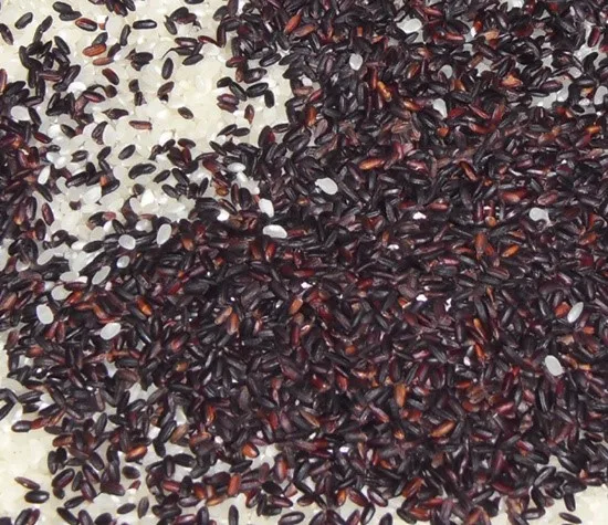  Черный рис с длинным зерном ароматный черный GAO NEP THAN-jasmine (Ms Деми + 84 961 733 400)