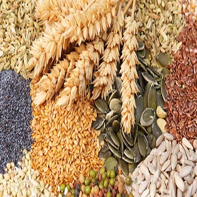 With proteins agriculture Seeds for planting