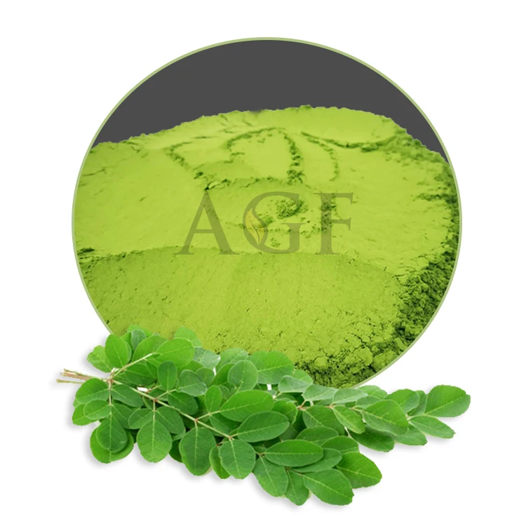 Bulk Moringa Powder of green moringa leaves Organic moringa powder buy at wholesale price