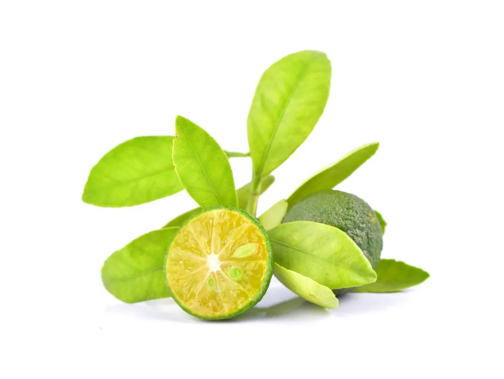 
Frozen Calamansi Puree (Juice) High Quality 