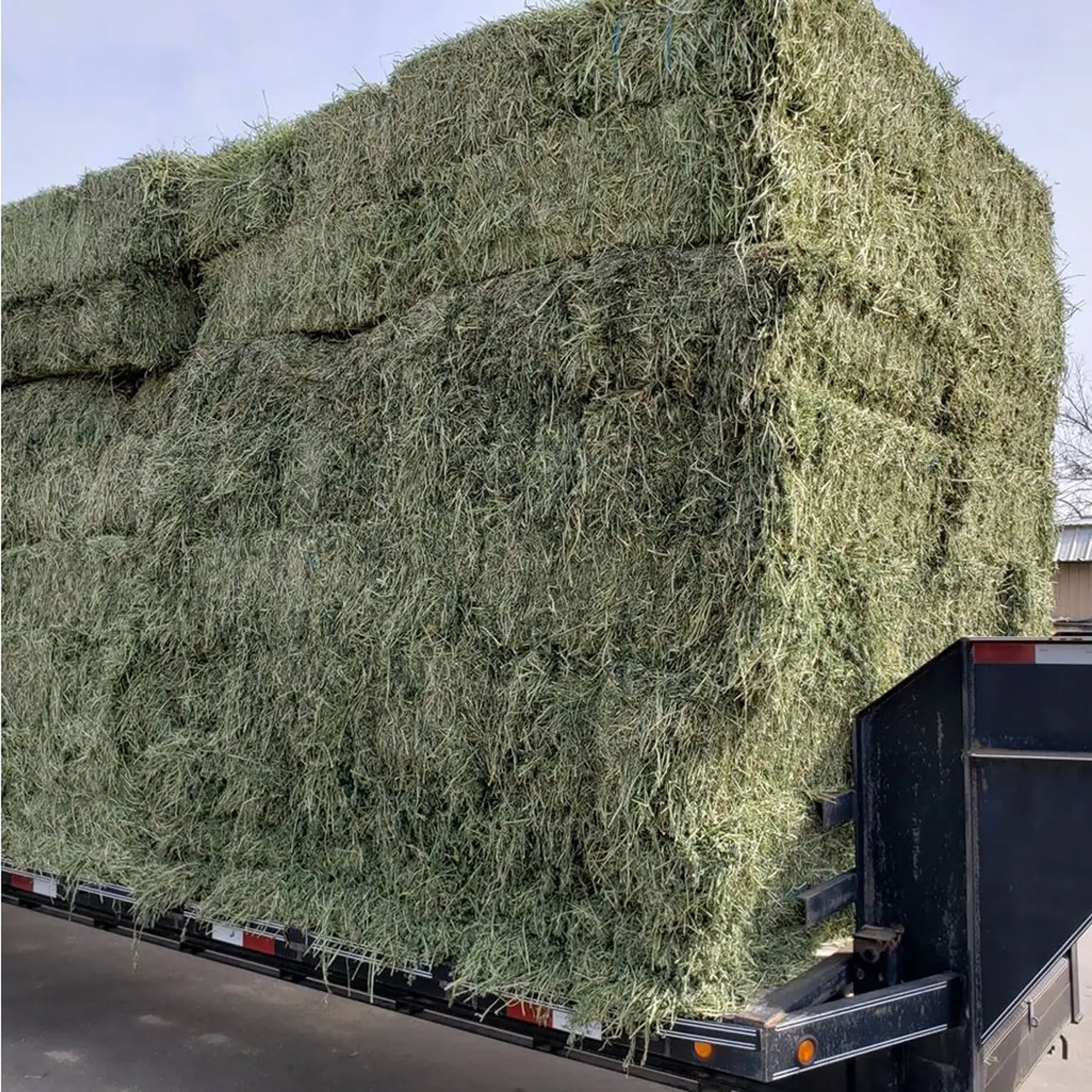 We Sell Top Quality Premium Alfalfa Hay, At Low Price