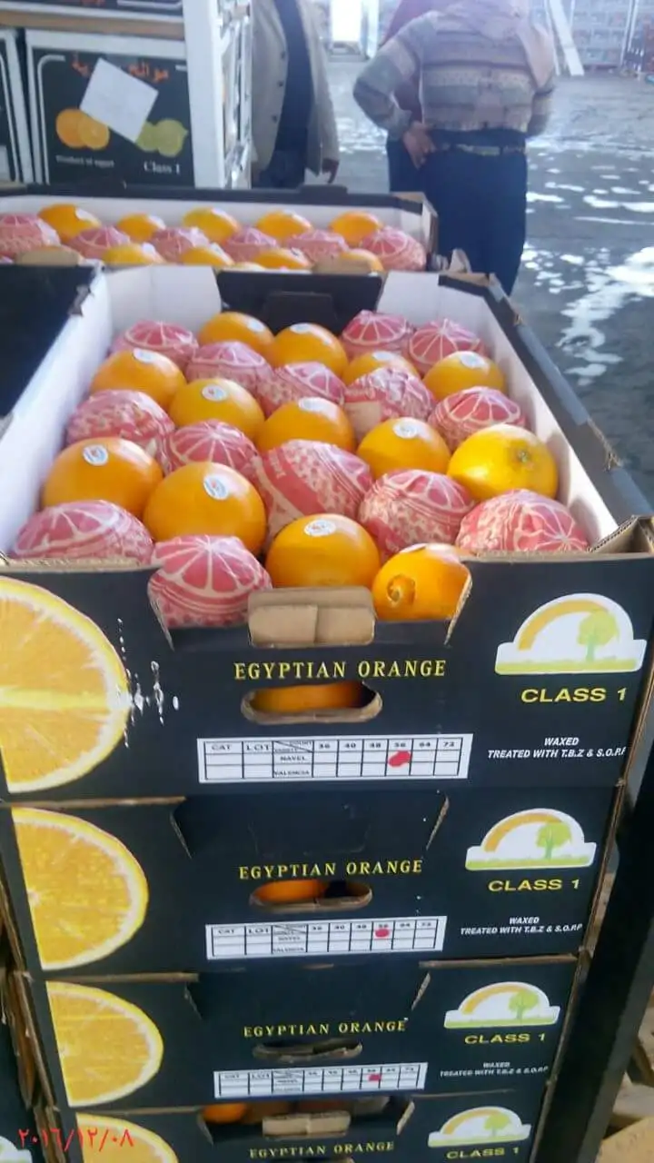 A1 Duper Orange 2021