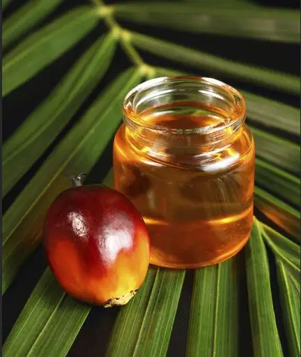 RBD Palm Olein Oil CP-10 Refined/Crude ReD Palm Oil