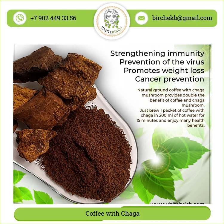 Natural Health Supplements High Quality Coffee with Chaga Mushroom from Wholesale Supplier