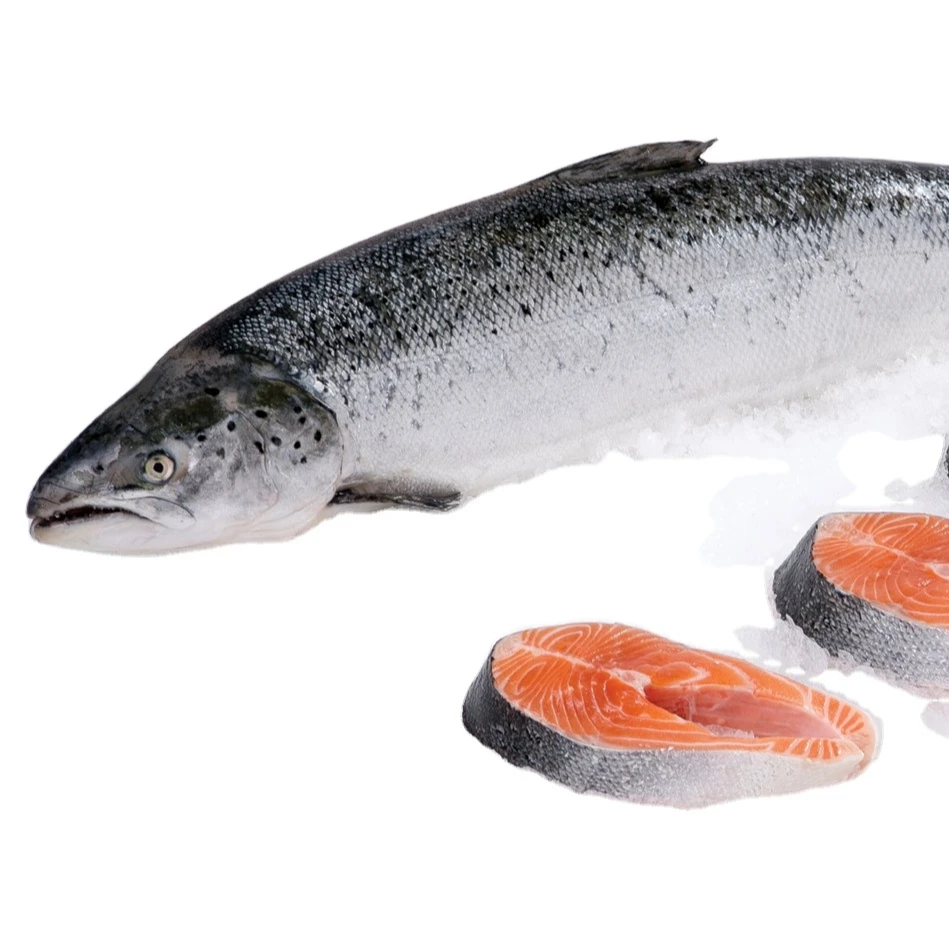 FROZEN AND DRY SALMON FISH