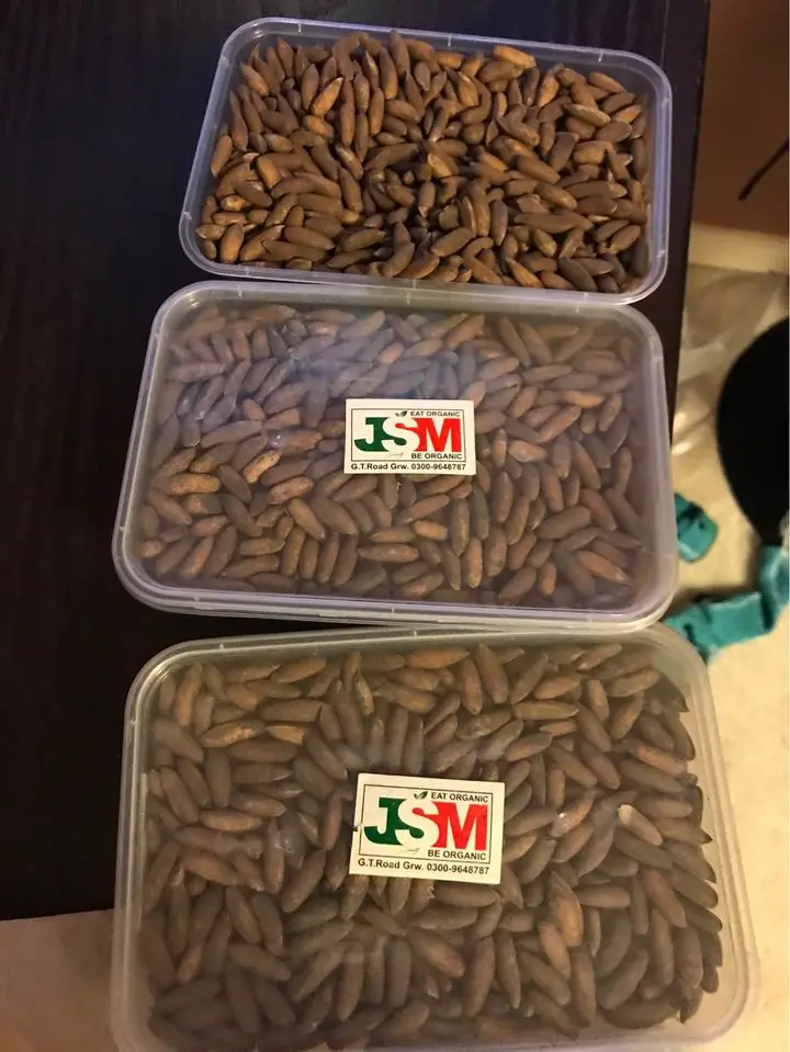 organic pine nuts.jpg