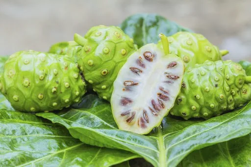 Асептический продукт Noni Juice Puree с конкурентоспособной
