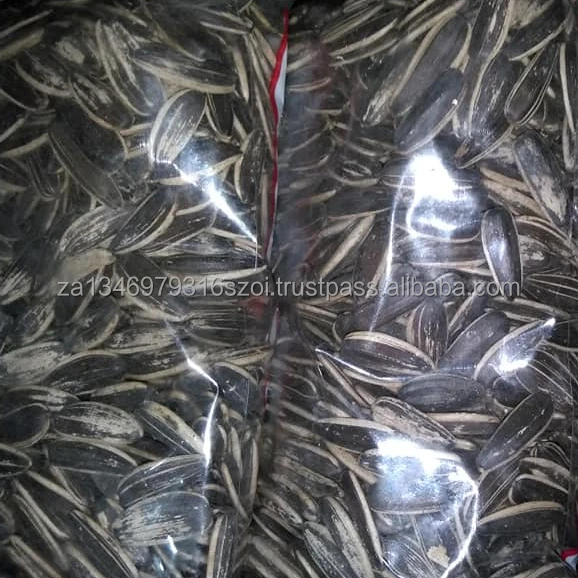 
Premium Alfalfa seeds ready stock 