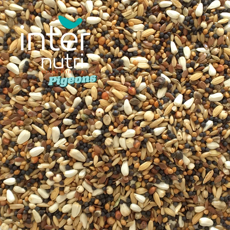 
Seed mixture for pigeons | INTERNUTRI TREATS FOR PIGEONS 20KG 